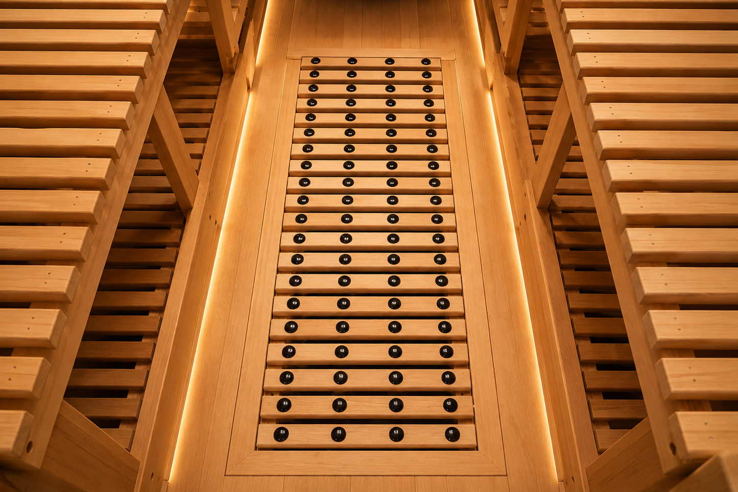 VILDEN Arc Sanctuary - 2-Person Architectural Far-Infrared Wellness Suite